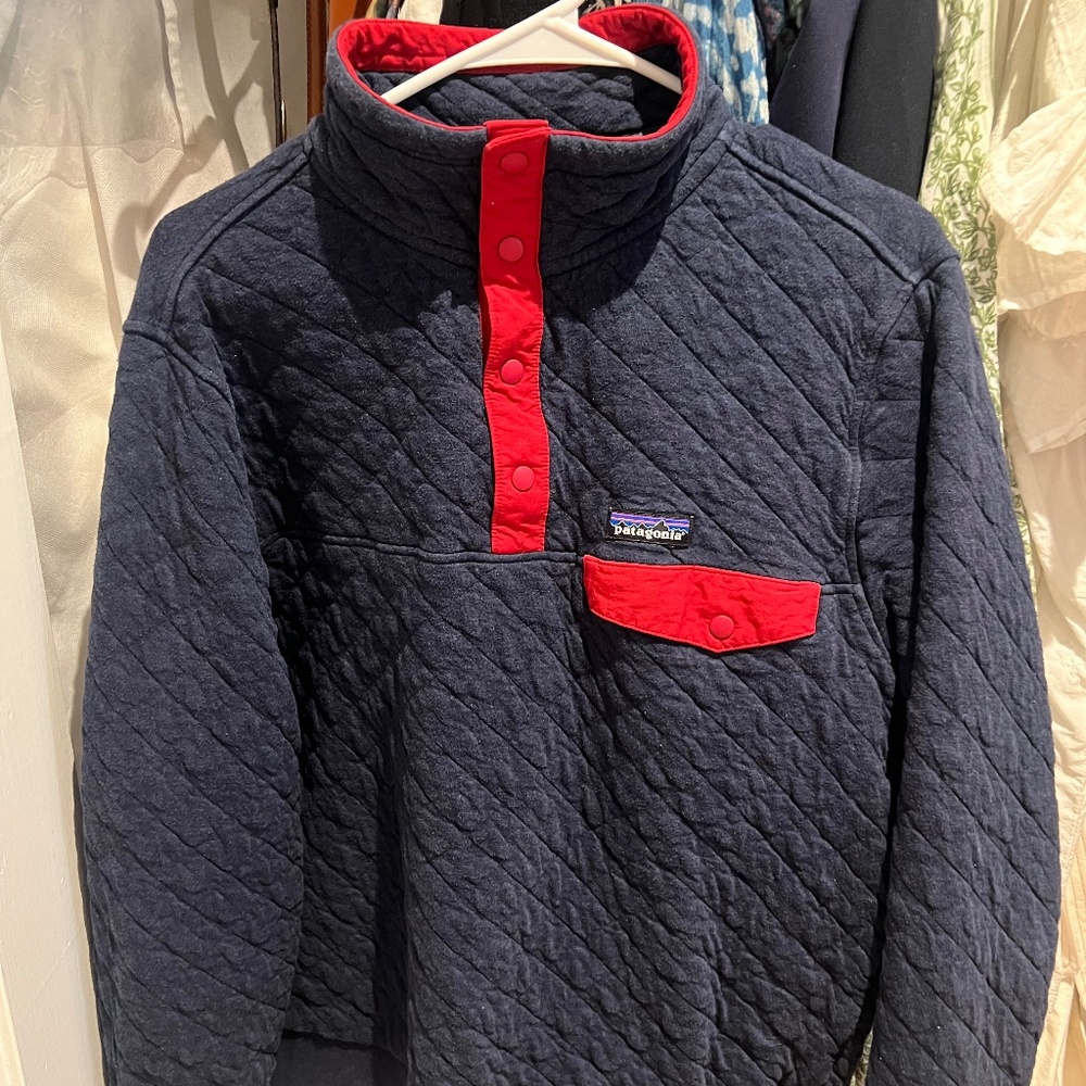 Men's Patagonia Snap-T Pullover